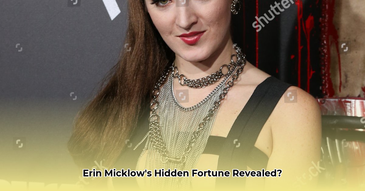 erin-micklow-net-worth